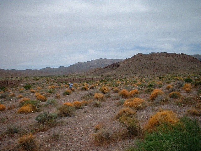 death valley 3 - 28