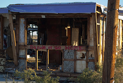 Salton Sea Beach (0775)