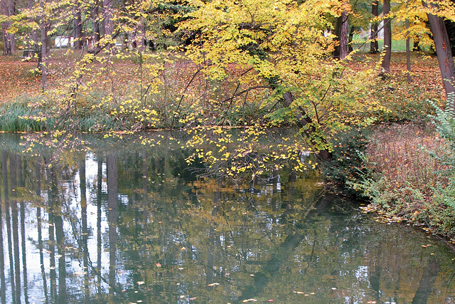 L'automne au Parc de La Tête d'Or (Lyon, Rhône)