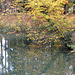 L'automne au Parc de La Tête d'Or (Lyon, Rhône)