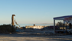 Salton Sea Beach (0774)