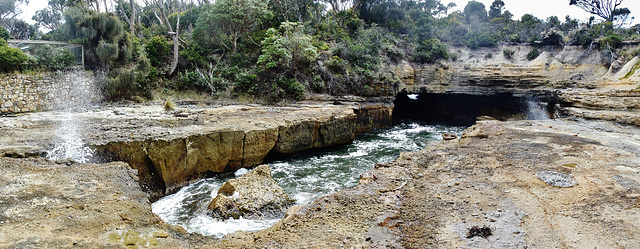 Tassie trip