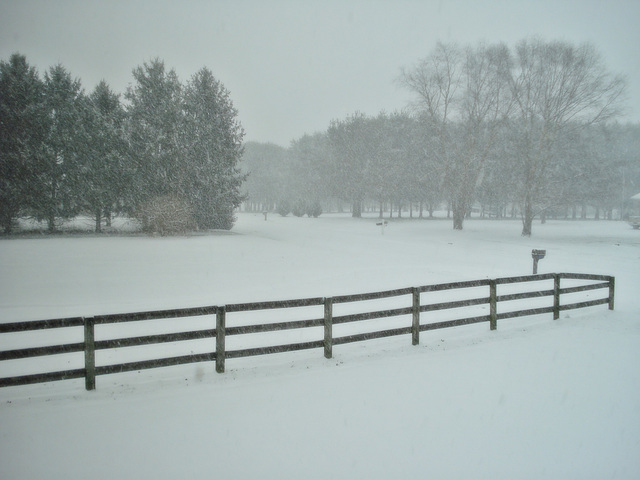 First Major Snow of the Year