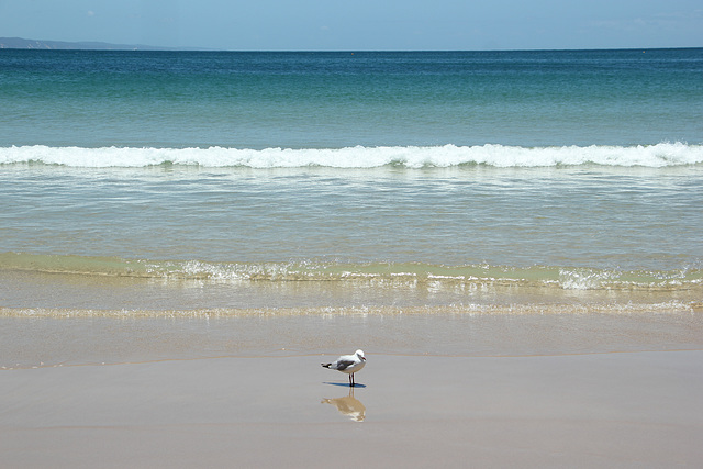 Today in Noosa