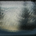 Winter Impression