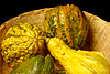 Gourds with Chris Buscaglia Lenz Texture  101713