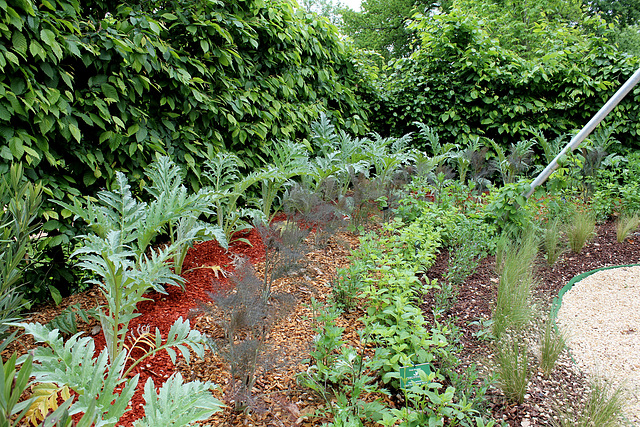Comme un bruissement d'ailes- Jardin 13 (4)