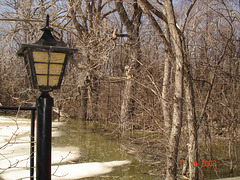Lanterne printanière / Spring lantern - Avec flash