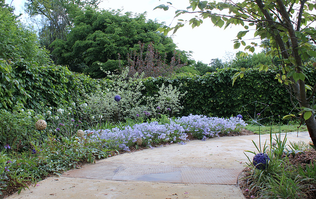 Courir pour voir la couleur du vent - Jardin 6  (20)