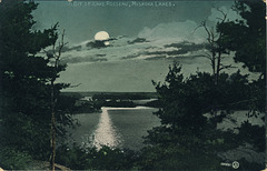 A Bit of Lake Rosseau, Muskoka Lakes (100,551)