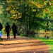 Autumn in Oxford