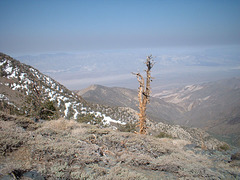 TelescopePeak BarkerRanch 16