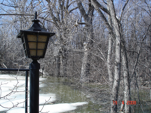 Lanterne printanière / Spring lantern - Sans flash / With no flash.