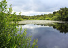 See im Finkenmoor