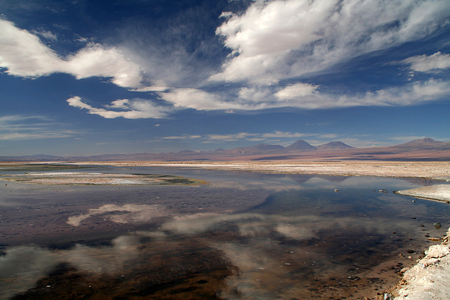 Laguna Chaxa