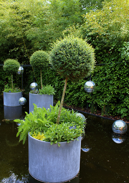En appesanteur- Jardin 9- Pots avec Troènes