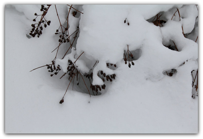 sous la neige