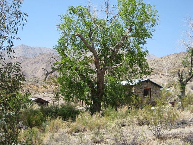 TelescopePeak BarkerRanch 81