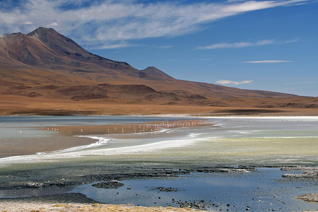 Laguna Hedionda