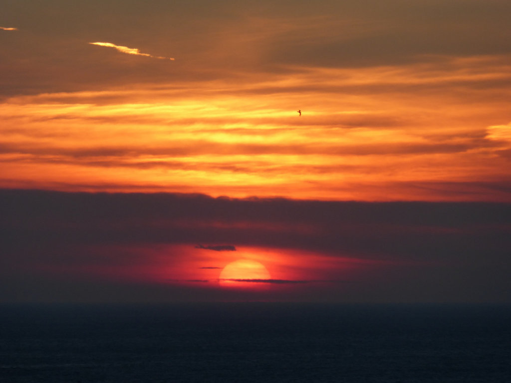 a dawn from my balcony