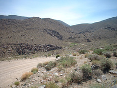 Saline Valley 04