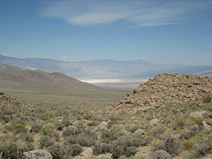 Saline Valley 07