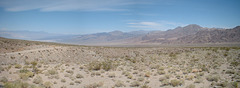 Saline Valley 08