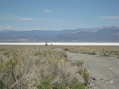 Saline Valley 09