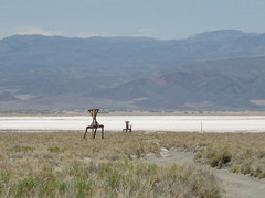 Saline Valley 10