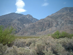 Saline Valley 12