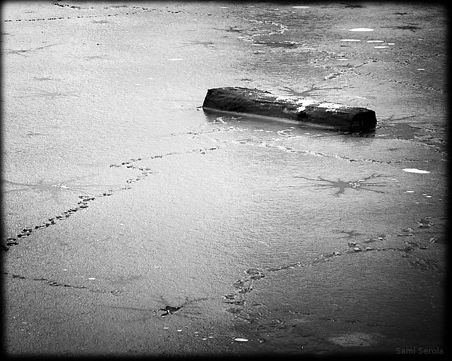 Captain's frozen log