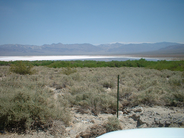 Saline Valley 13