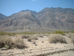 Saline Valley 15