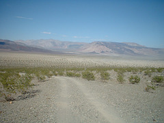 Saline Valley 18