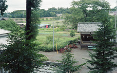 A view from the grove of a village shrine