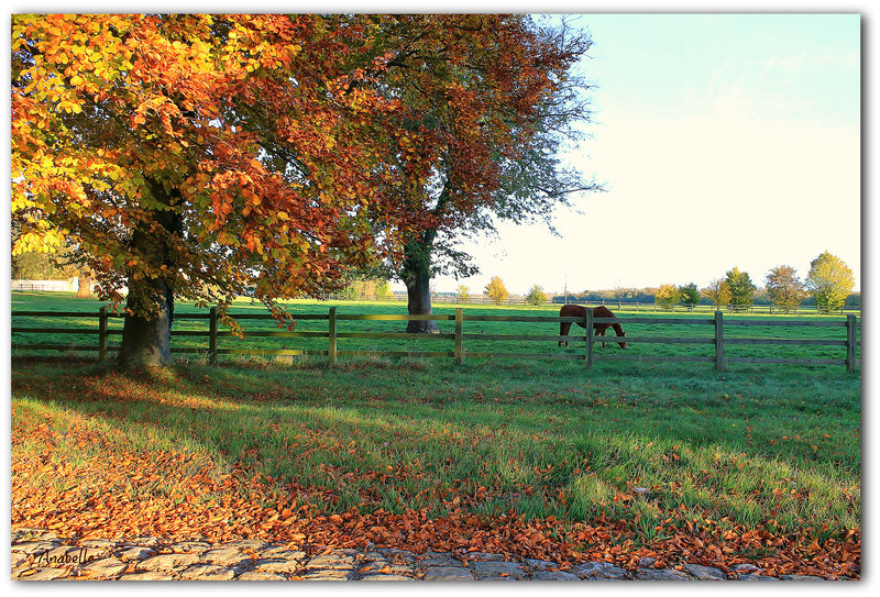 un jour d'automne