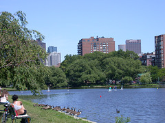 Boston Esplanade 3555