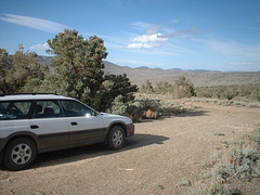 Saline Valley 42