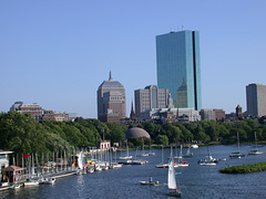 Boston 3533
