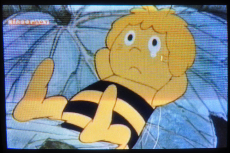 Maya the Bee