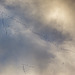 VisMig