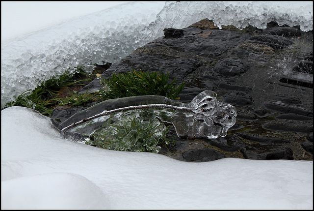 L'âge de glace  (11)