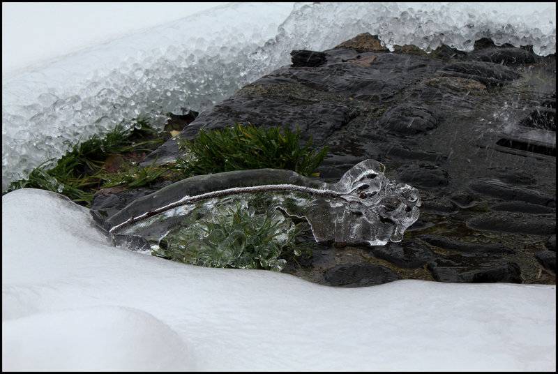 L'âge de glace  (11)