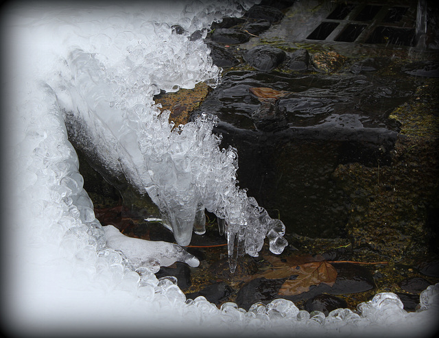 L'âge de glace  (12)