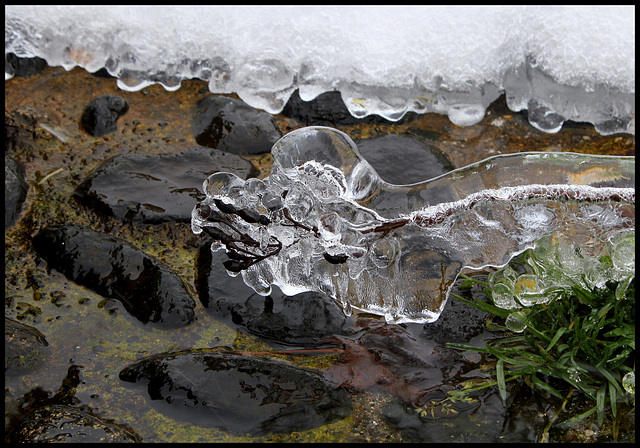 L'âge de glace  (15)