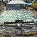 1959 Edsel Villager Wagon