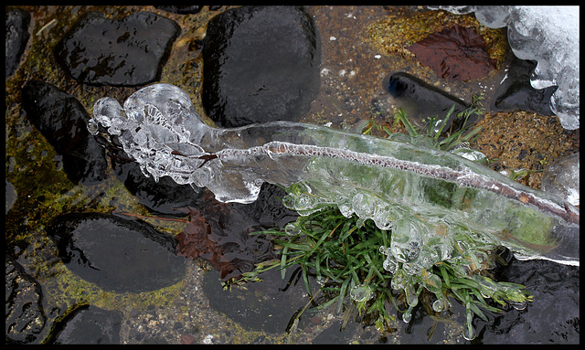 L'âge de glace  (8)