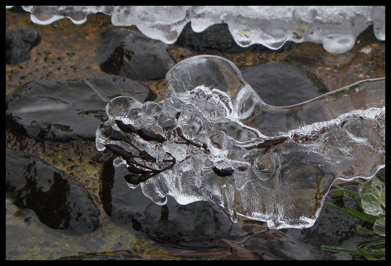 L'âge de glace  (9)