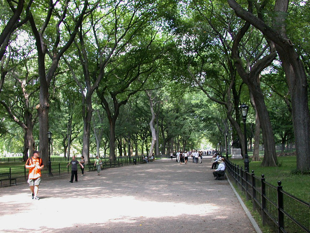 NYC Central Park 3682a