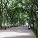 NYC Central Park 3682a